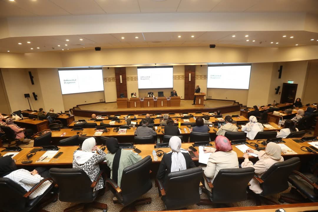 الجامعة المصرية الصينية 