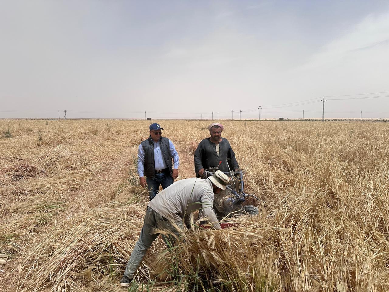 المرور على المزارعين بسيناء 