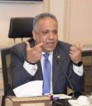 رئيس جمعية رجال الأعمال المصريين الأفارقة