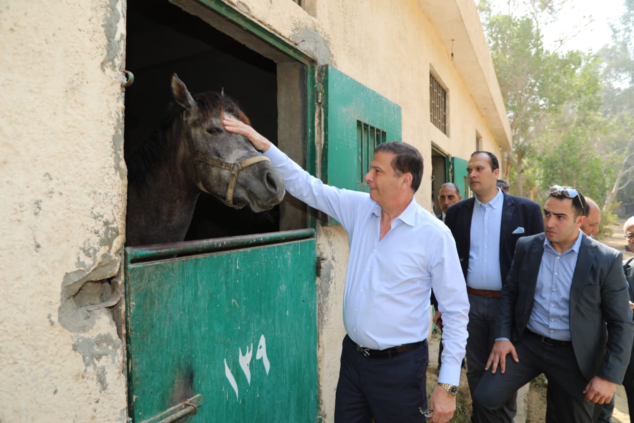 وزير الزراعة يتفقد محطة الزهراء 
