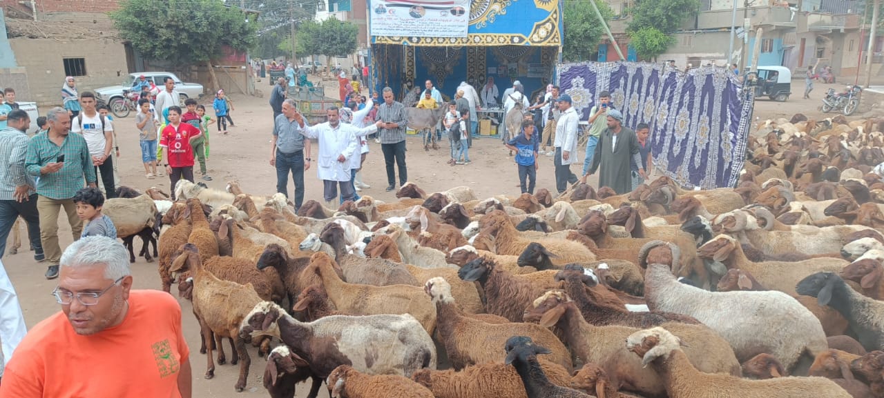 القوافل البيطرية