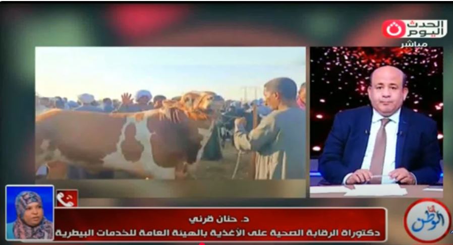 د حنان خلال المداخلة