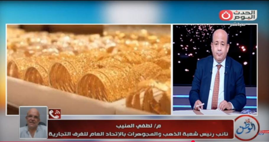 لطفى منيب خلال المداخلة