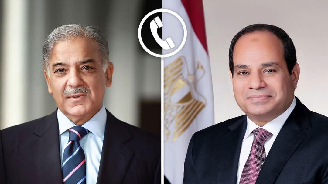 السيسي ورئيس وزراء باكستان