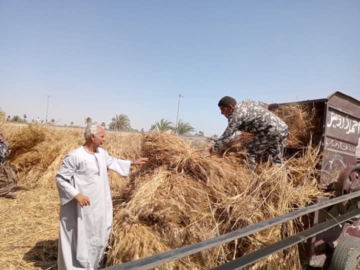 نقيب الفلاحين