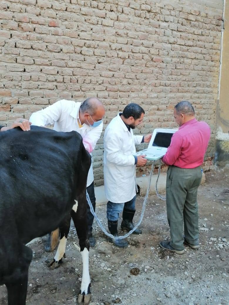 الخدمات البيطرية 
