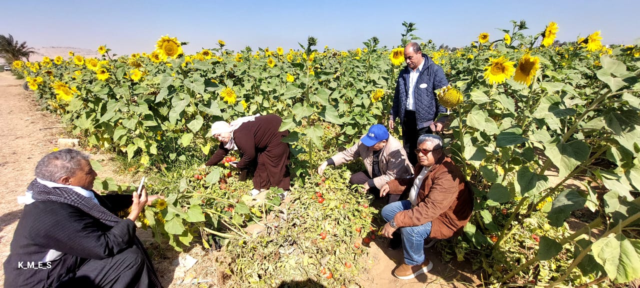 الإرشاد الزراعى