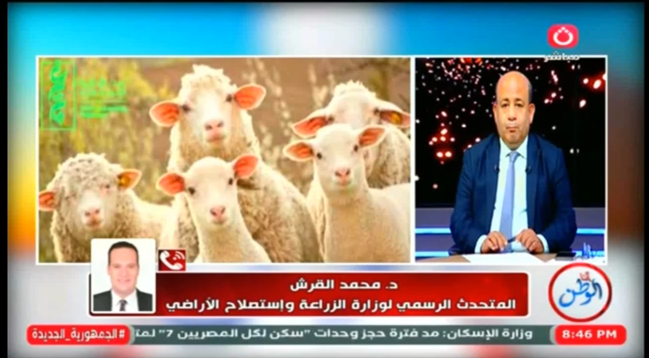 متحدث وزارة الزراعة يكشف استعدادات عيد الأضحى 