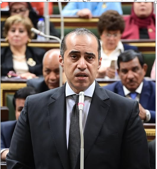 المستشار محمود فوزي