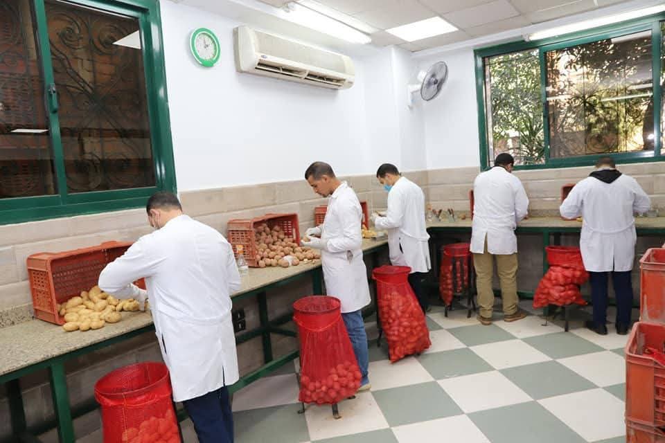 فحص البطاطس