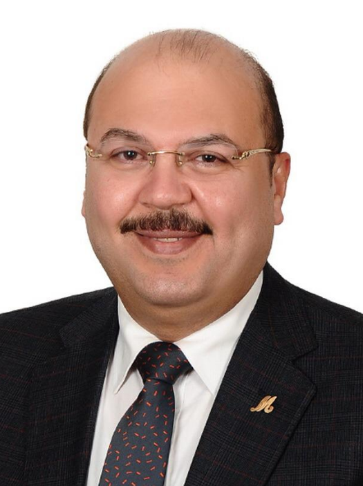 مشيل الجمل