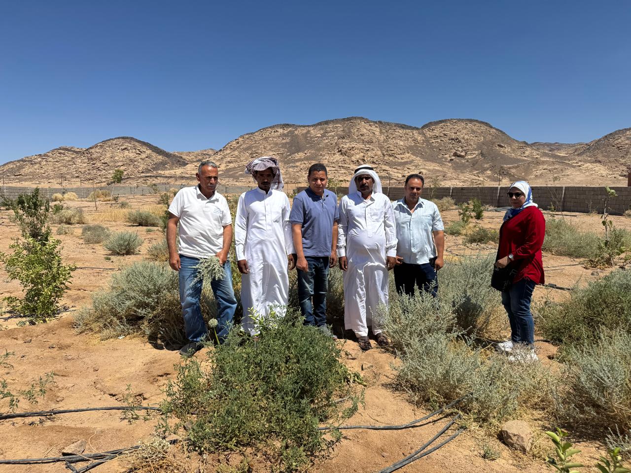 بحوث الصحراء 