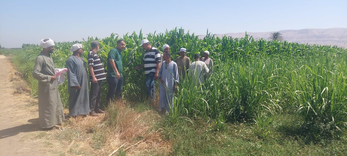 خلال الجولة