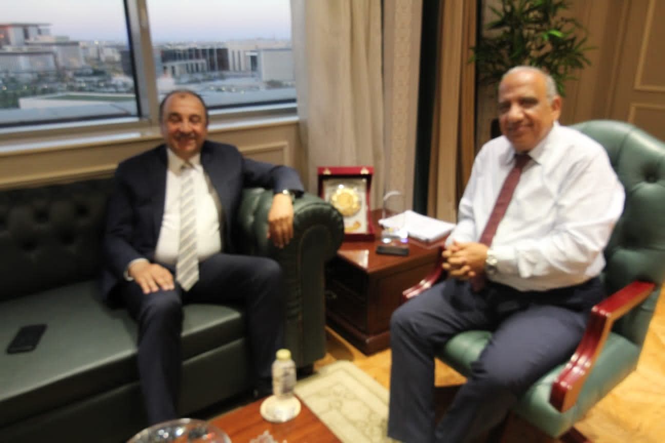 وزيرا الكهرباء وقطاع الأعمال 
