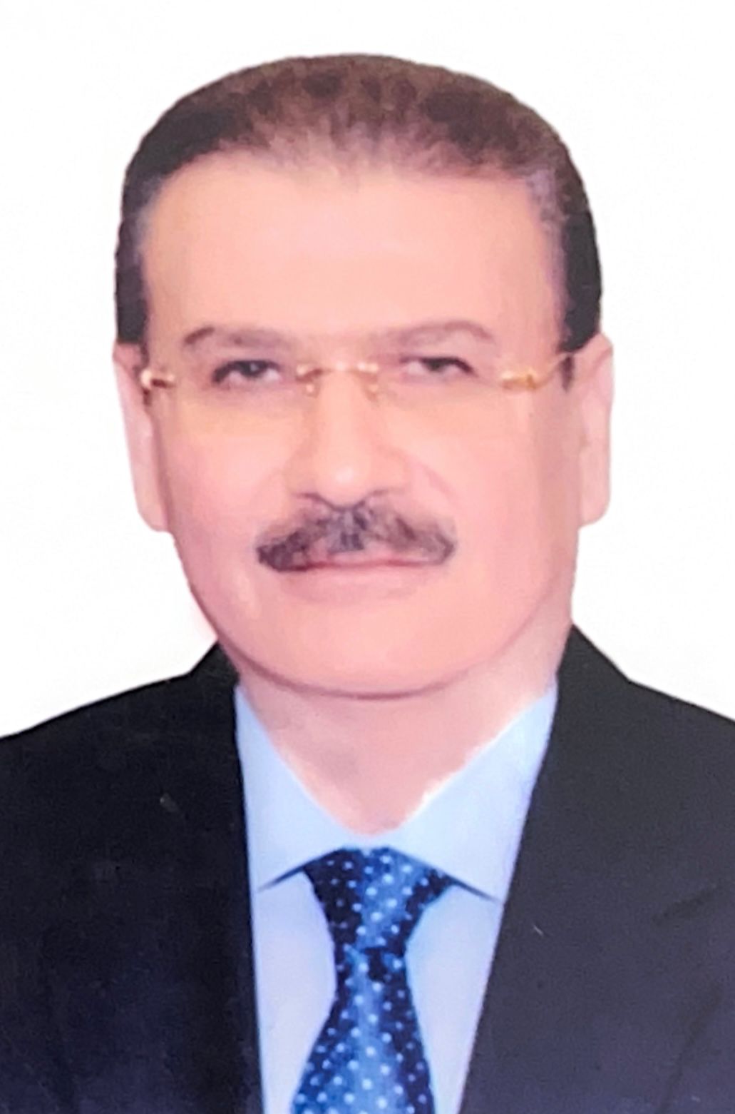 المهندس هاني ضاحي