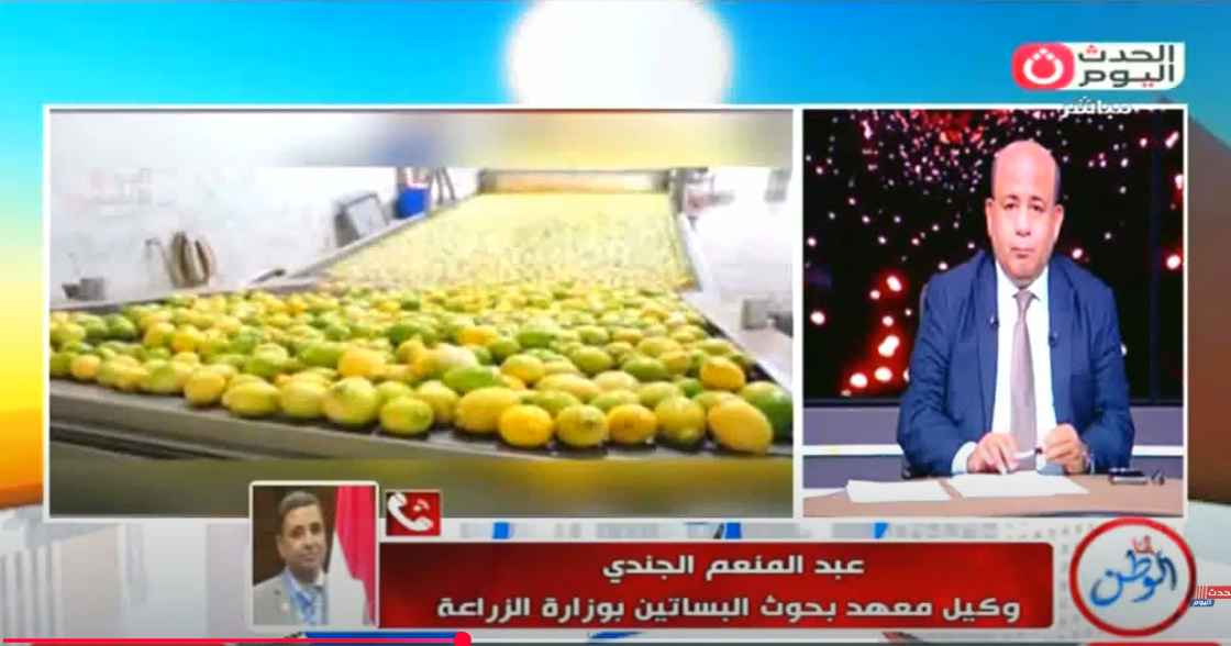 خلال المداخلة