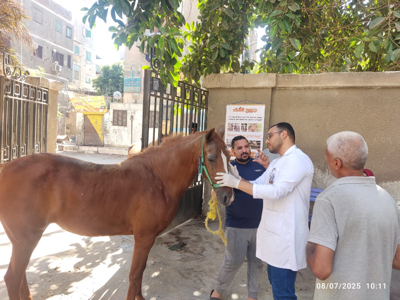 الخدمات البيطرية