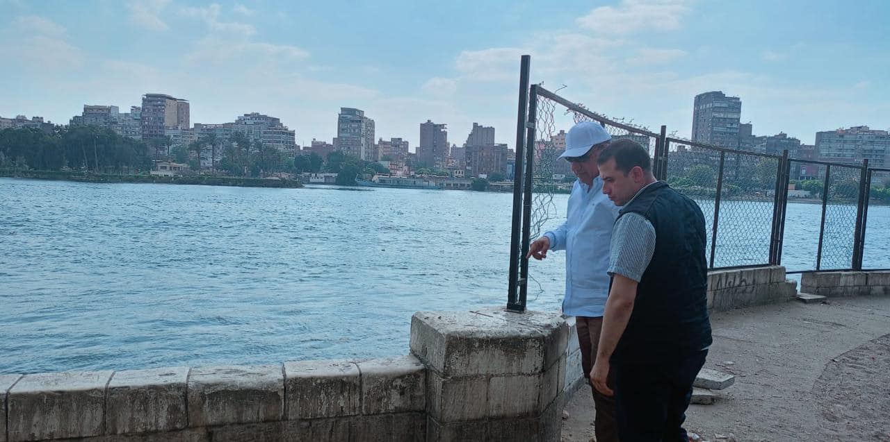 وزير الكهرباء والطاقة المتجددة