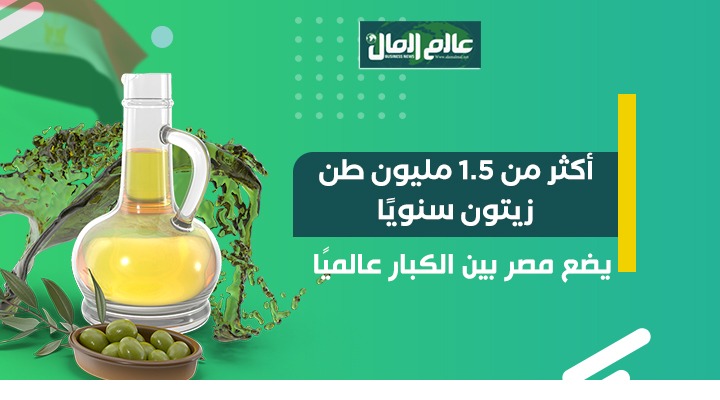 جراف يوضح انتاج مصر من الزيتون 