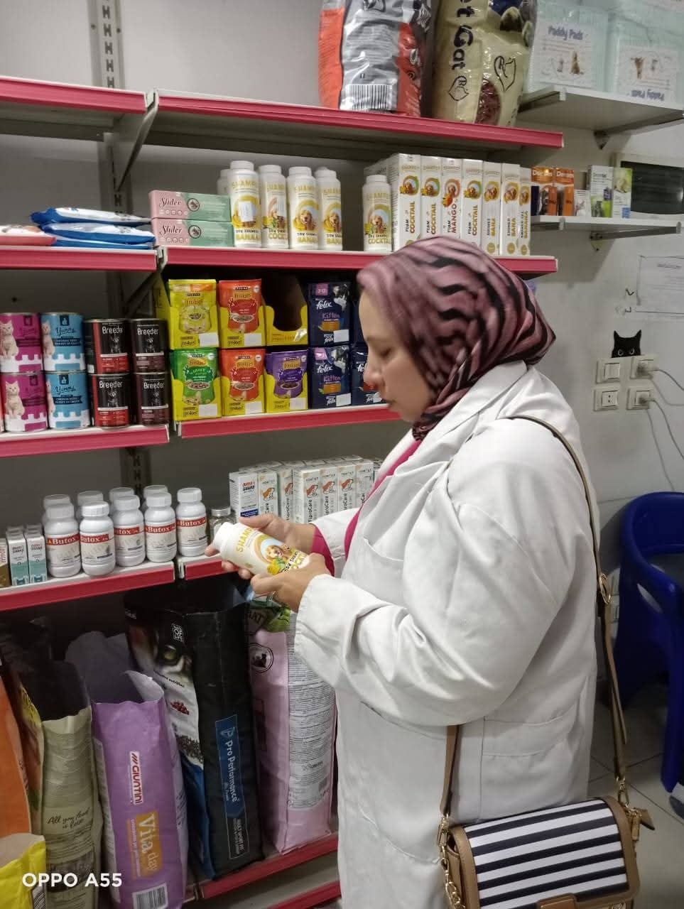 الخدمات البيطرية