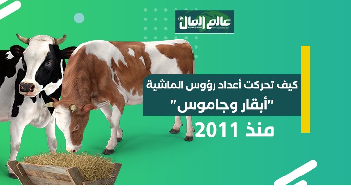جراف يوضح تراجع الثروة الحيوانية منذ 2011