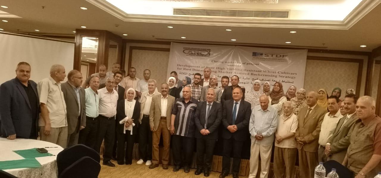 خلال ورشة العمل