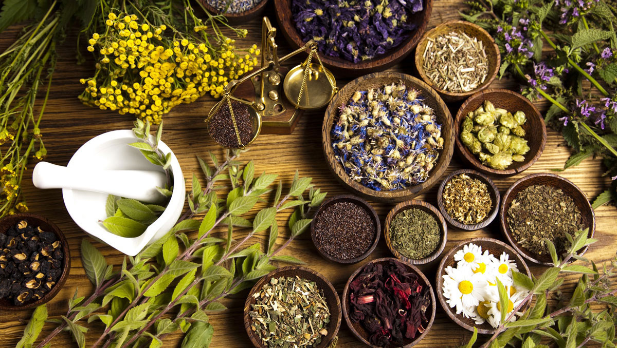 النباتات الطبية والعطرية