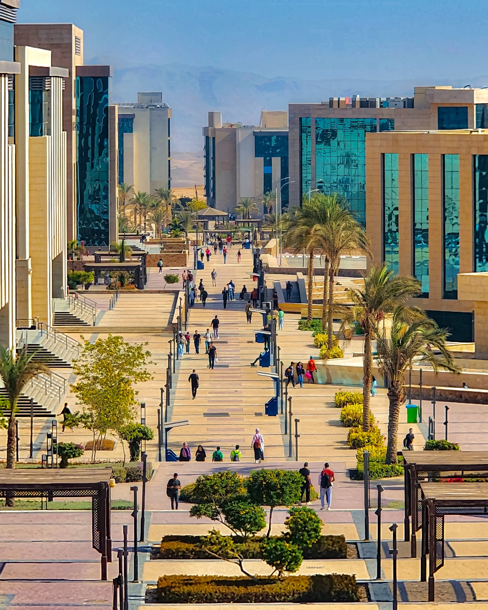 جامعةالجلالة
