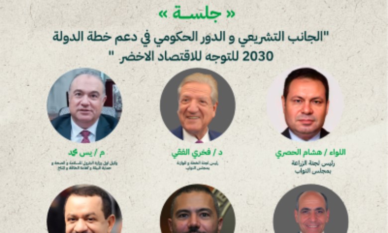 الدور الحكومى والتشريعى 