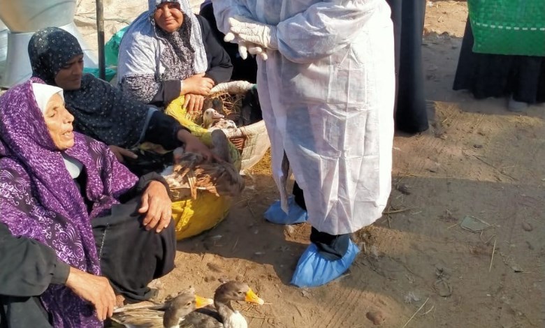 الخدمات البيطرية 