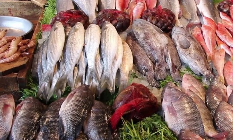 الأسماك