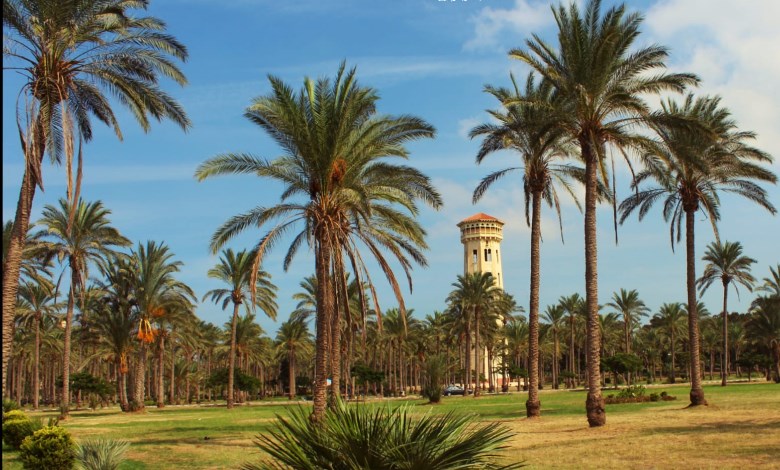 حدائق المنتزة