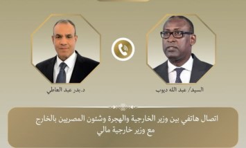 مصر تجدد دعمها لجهود مالي في مكافحة الإرهاب وتعزيز التعاون الاقتصادى