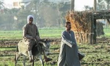 الزراعة