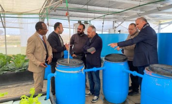 وقد جامعة العريش 