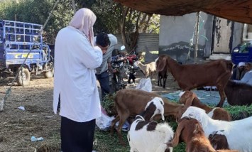 الترصد الوبائي 