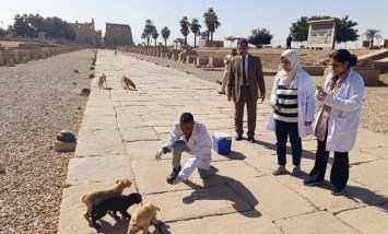تحصين وتعقيم الكلاب
