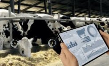 استخدام الذكاء الاصطناعى فى تعزيز صحة الحيوان