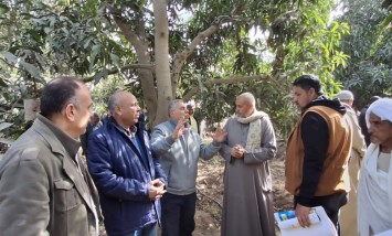 القوافل الإرشادية