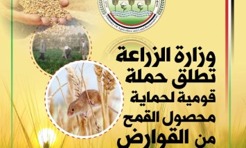 حملة لمكافحة القوارض