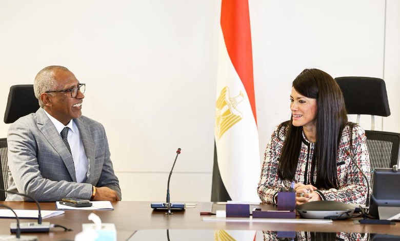  وزيرة التخطيط والتنمية الاقتصادية