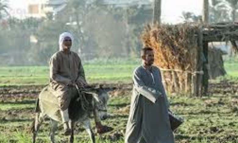الزراعة