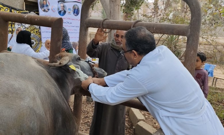 تحصين الماشية 