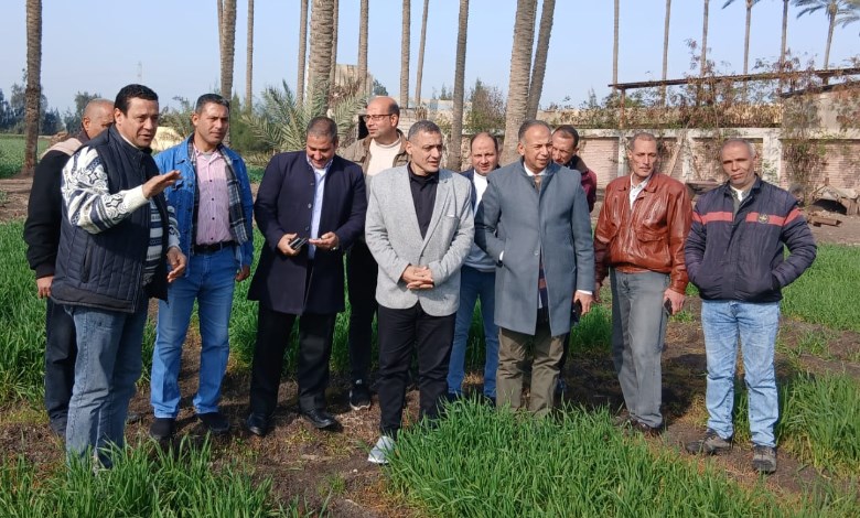 الزراعة تتفقد حقول التقاوى
