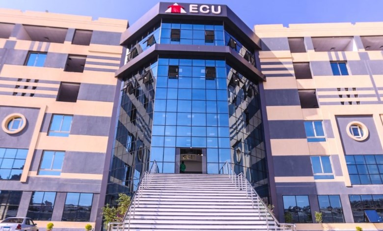 الجامعة المصرية الصينية 