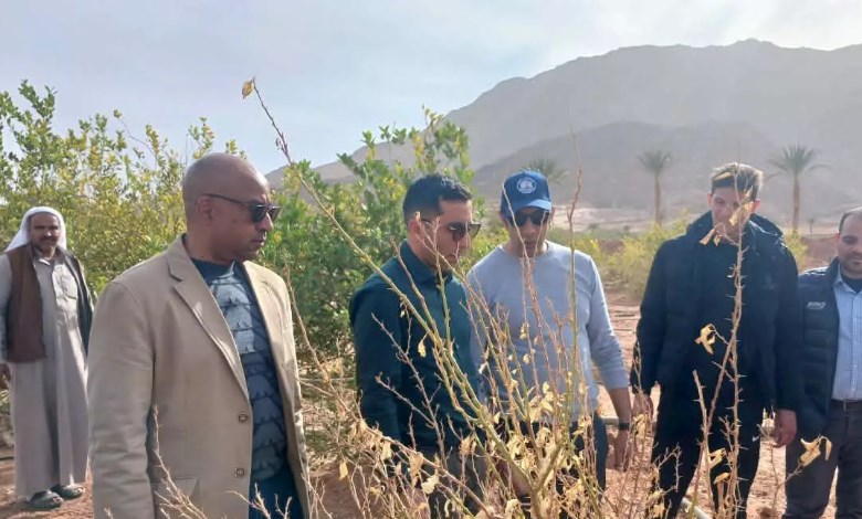 الجولة بوادى فيران