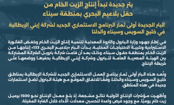 وزارة البترول والثروة المعدنية 