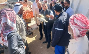 مشروعات الإنتاج الحيواني بجنوب سيناء 