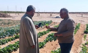 الزراعة 