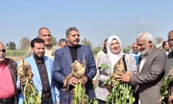محصول بنجر السكر